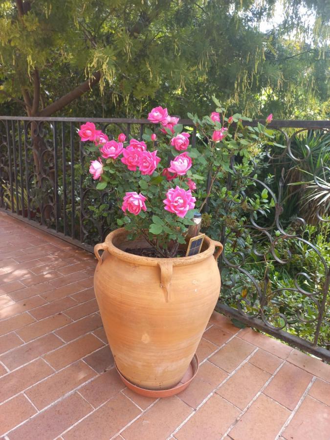 Chambre Salle De Bains Privee Jardin Arbore Μονπελιέ Εξωτερικό φωτογραφία